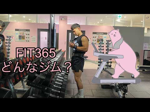 【FIT365】ジム紹介