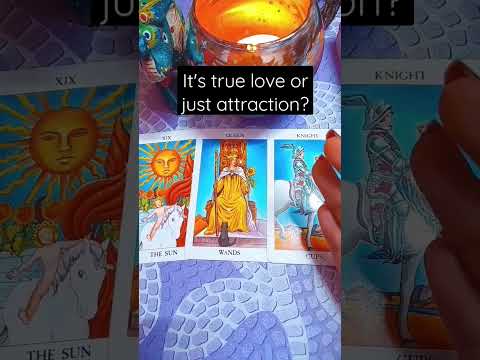 It's True Love or Just Attraction? #lovetarotreading #tarotreading #lovetarot #tarot