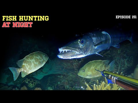 NIGHT SPEARFISHING EPISODE 151 | FISH HUNTING AT NIGHT