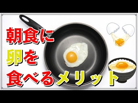 朝食に卵を食べるメリットは？ 脳の活性化など栄養たっぷり！ たまごの効果的な食べ方とは？