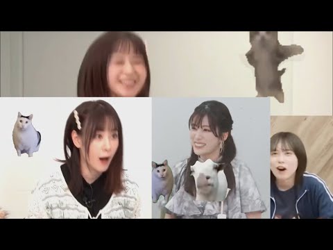 Maeda Kaori (and others) did the Cat's Meme Impression