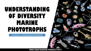 UMT || Diversity of marine Phototroph