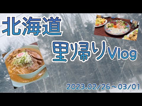 【北海道】里帰りVlog【グルメ】