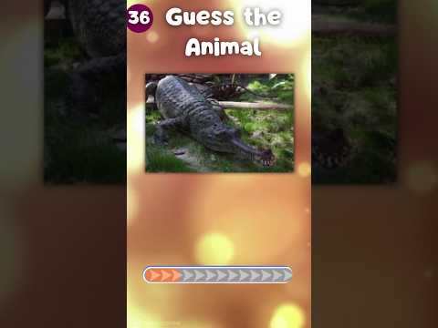 Guess 50 Animals in Just 3 Seconds – Can You Do It?|The Quiz Show