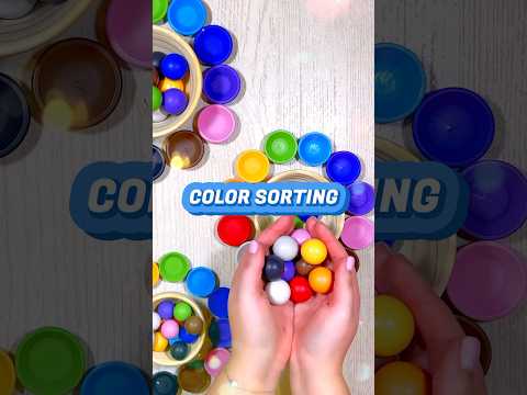 Color Sorting ASMR | Educational Videos for Kids #shorts