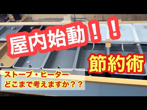 (メダカ)屋内始動！ストーブ、ヒーター節約するには？