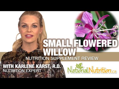 Small Flowered Willow for Prostate - Professional Supplement Review | National Nutrition Canada