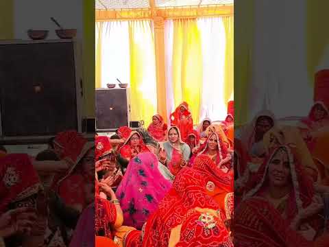 #shortvideo #rajasthani #sekhawatigeet #marwadi #shekhawatigeet #wedding #shekhawatikegeet