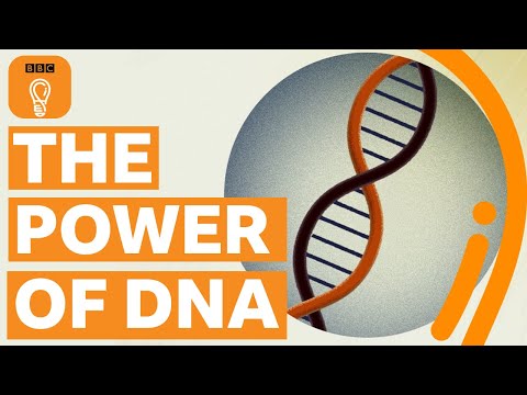 How the discovery of DNA changed the world – and my life | BBC Ideas