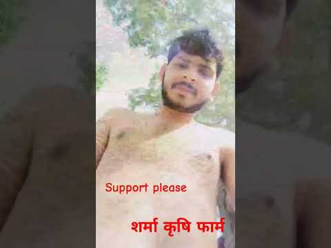 देसी लाइफ #desilifestyle #farming #haryanvivideos #rajsthani #trendingshorts #lasteststatus