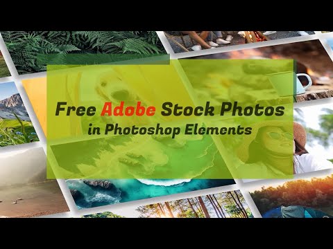 Free Adobe Stock photos in Adobe Photoshop Elements