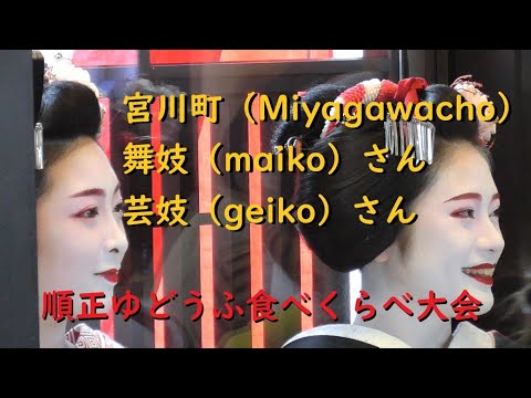 宮川町の舞妓（maiko）さんと芸妓（geiko）さん【Miyagawacho.】