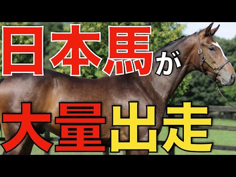 衝撃の19頭大量出走！今年もブリーダーズカップで日本馬旋風が巻き起こるか。