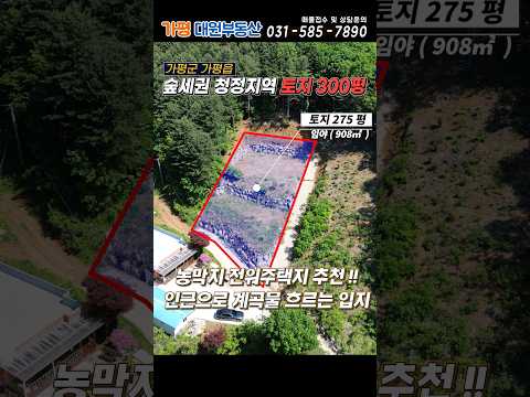 [거래종료][NO.214] 가평 숲세권 토지매매 300평(도25평) 평당 25만원 급매!! 석축토목 숲세권 급매물땅!!#가평땅급매#가평토지급매