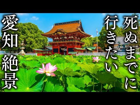 [Okazaki edition] 15 superb views of Aichi you want to see before you die - JAPAN in 8K