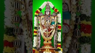 Lord Sri Venkateswara Swamy Stotram | Kamala Kucha |Bhakthi Songs