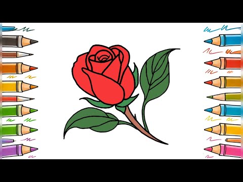 Learn How to Draw a Beautiful Rose 🌹🎨