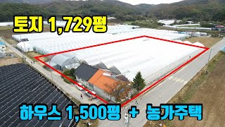 [강원도싼땅매매]  강추!!  귀농.귀촌토지  ■  토지 1,729평 + 하우스 1,500평 + 농가주택   ■  5억5천만원  ■  (8159)