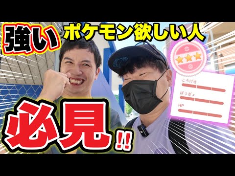 実は激アツ！？復帰勢大歓喜の年内イベント！【ポケモンGO】