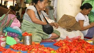 World's hottest chilly becomes a profitable business for farmers in Manipur