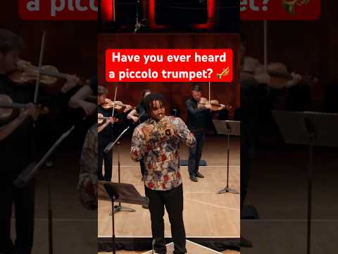 Introducing… the piccolo #trumpet 🎺