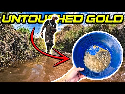 Using the Worlds Fastest River Sluice on an Untouched Gold Deposit!