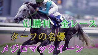 メジロマックイーン　G1勝利　【全レース】