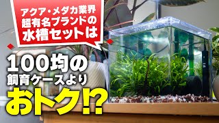 メダカやベタの飼育に100均よりおトクな超格安セット水槽はいかが？【ビバアクア】 #アクアリウム #熱帯魚 #メダカ