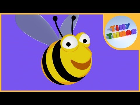 A Bee C song - Alphabet Song by Tiny Tunes