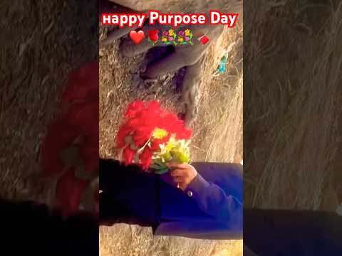 нарру Purpose Day🌹💐❤️🍫#parpose #viralvideo #viralpost #trendingshorts #shorts #short #video