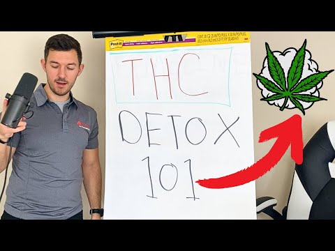 Understanding THC Detox Timelines & Drug Testing