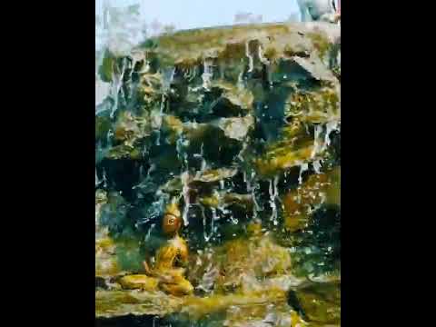 lord Buddha shorts video #shorts  #nature  #god