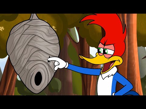 Woody Doesn't Like Bees!🐝 Woody Woodpecker | Animal Friends