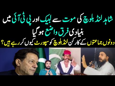 TLP & PTI Difference Exposed 📢 | Details By Malik Nasrullah