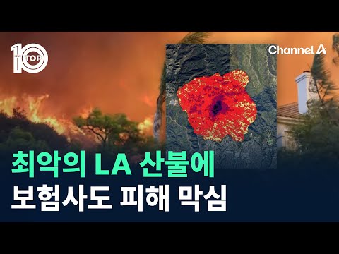 최악의 LA 산불에 보험사도 피해 막심 / 채널A / 뉴스 TOP10