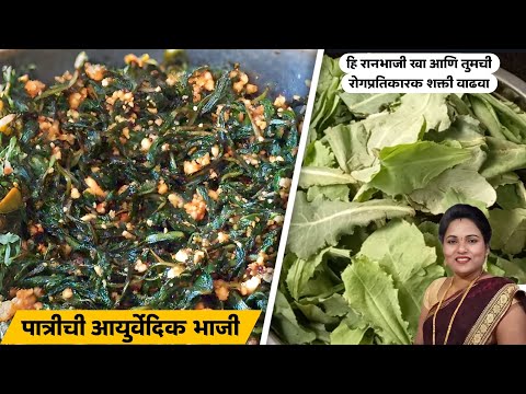 पात्री ची आयुर्वेदिक रान भाजी  | Patrichi bhaji recipe marathi | रोग प्रतिकारक शक्ती वाढवण्यासाठी |