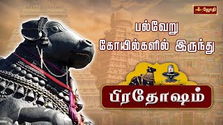 விதியை வெல்லும் பிரதோஷ வழிபாடு | Pradosham பல்வேறு கோயில்களில் இருந்து | Pradosham | Jothitv