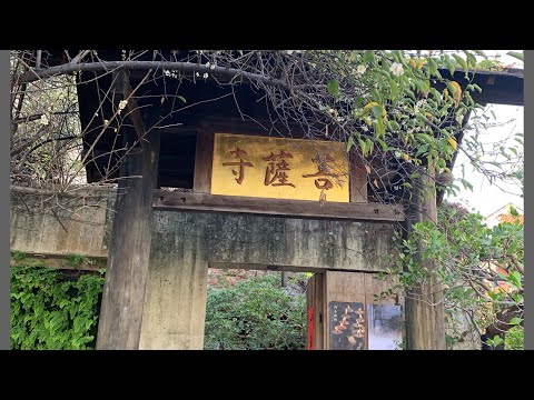 台中大里～菩薩寺，古色古香別於一般宗教寺廟，寺院簡約樸實莊嚴，每個角落都有它的禪意，非常值得走走逛逛，用心體會寺裡的每一空間。