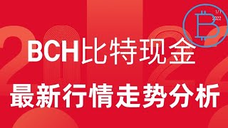 BCH比特币现金行情走势分析，它离底部还远吗，小白投资学习教程！