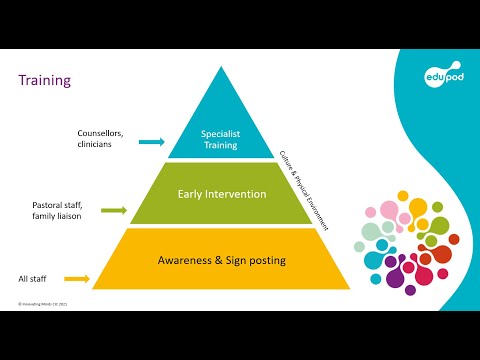 Staff Training and CPD in Schools