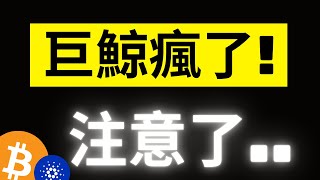 比特幣來到102000關鍵! Coinbase Prime巨鯨流入14B天量現金..注意了! ADA 1.2爆發邊緣.. XRP下個目標在哪!? #eth #ada #xrp