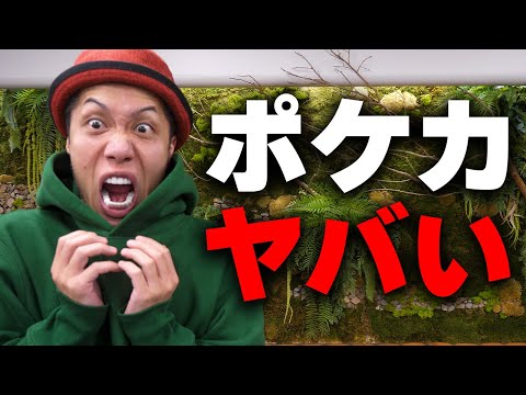 【本音】バブル再来!? ポケカの人気がヤバすぎる件について...