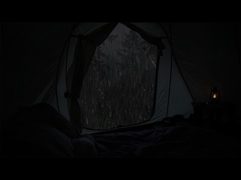 Noisy rain in deserted forest night - Stay in a tent on a rainy night, sleep deeply, reduce insomnia