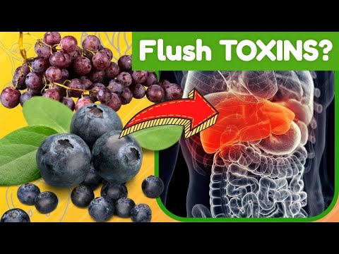 How to Detox Your Liver Naturally