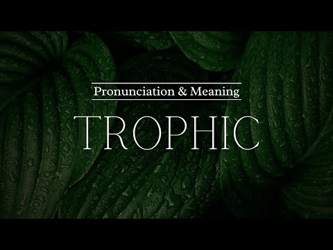 How to Pronounce: Trophic | British Pronunciation & Meaning