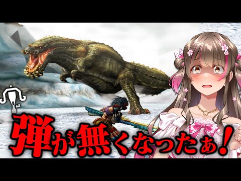 辛すぎ！弾が全然足りない状態で上位の乱入イビルジョーにソロ挑戦してみた【モンハンP3rd】