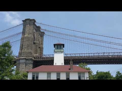 View of Brooklyn Bridge - Brooklyn Bridge Park