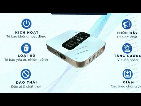 Công dụng máy THZ - BIO công ty DLC | massage từ trường trị liệu điện sinh học + sóng Terahertz