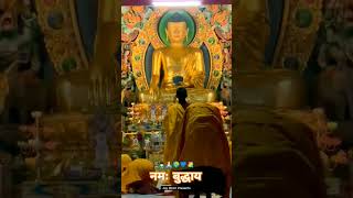 Gautam Buddha 🙏💙 |Buddham Sharnam Gachhami #shorts #youtubeshorts #buddhajayanti #buddha