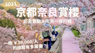 京都奈良兩天一夜賞櫻行程！必去哲學之道、吉野山｜開箱一晚 ¥72,000 旅館房間(汗)